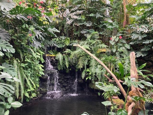 牧野植物園